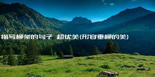描写柳条的句子 超优美(形容垂柳的美)